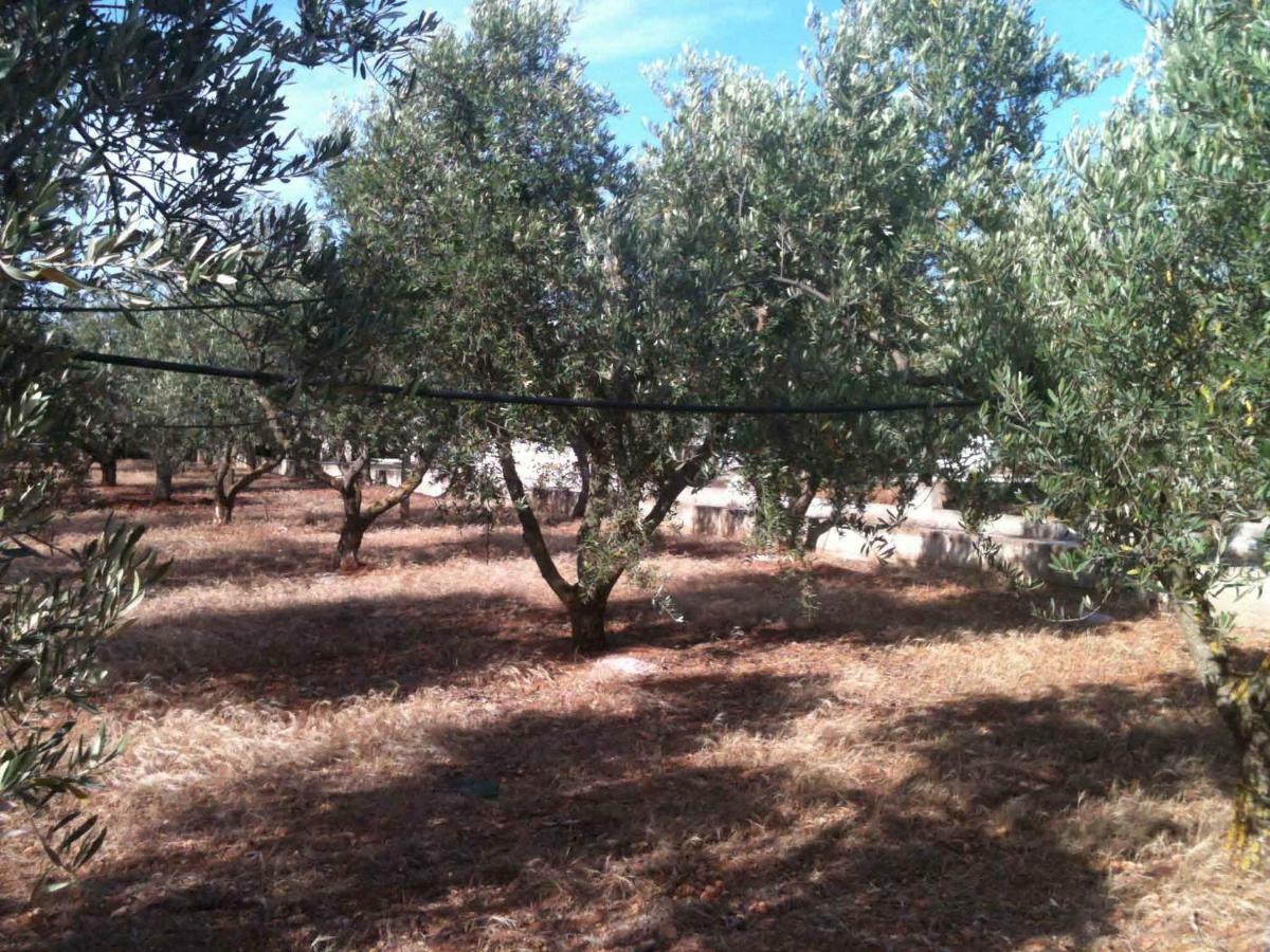 Oasi Tra Gli Ulivi Villa Carovigno Bagian luar foto