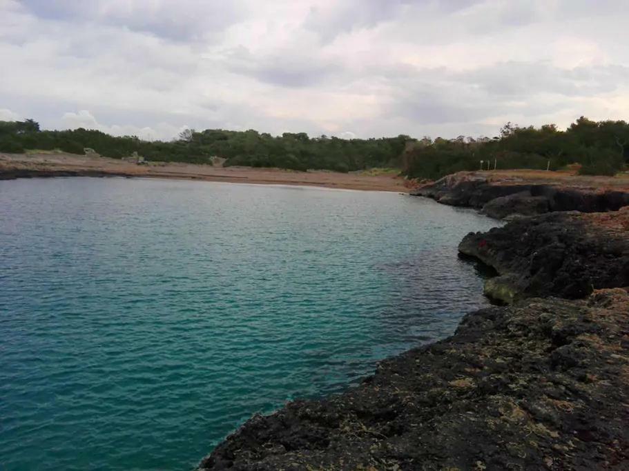 Oasi Tra Gli Ulivi Villa Carovigno Bagian luar foto